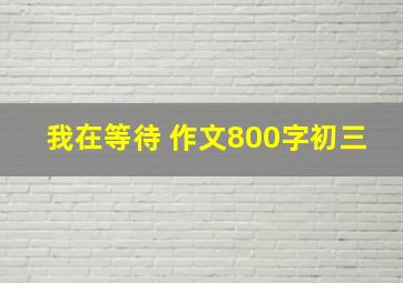 我在等待 作文800字初三